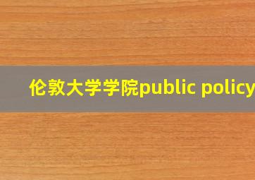 伦敦大学学院public policy